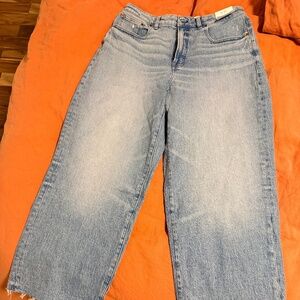 Madewell Curvy Vintage Wide Leg Crop Jean